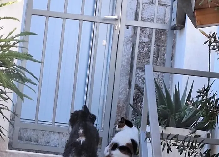 Old Town Hvar & 2* Hvar Town